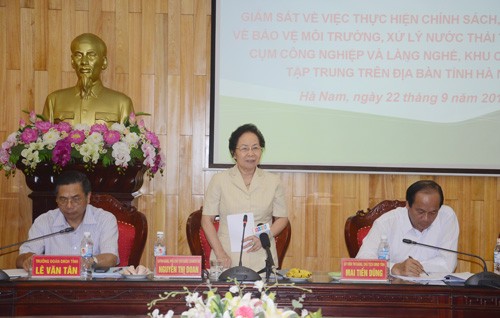 Phó Chủ tịch nước Nguyễn Thị Doan làm việc với tỉnh Hà Nam - ảnh 1